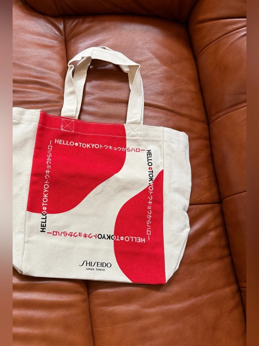 NEW Shiseido Bag